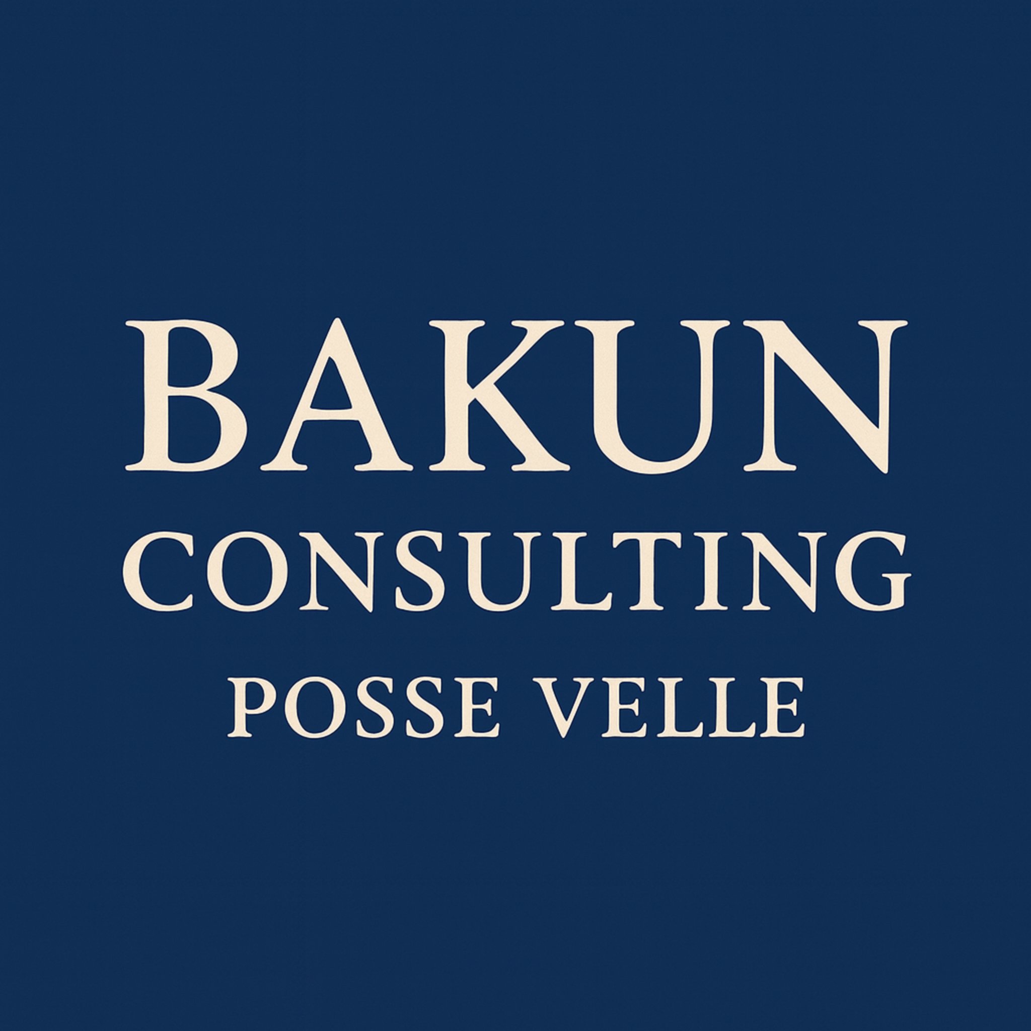 Bakun Consulting logo
